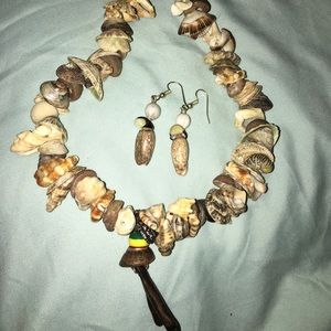 Shell set  from of St. Lucia Caribbean islands